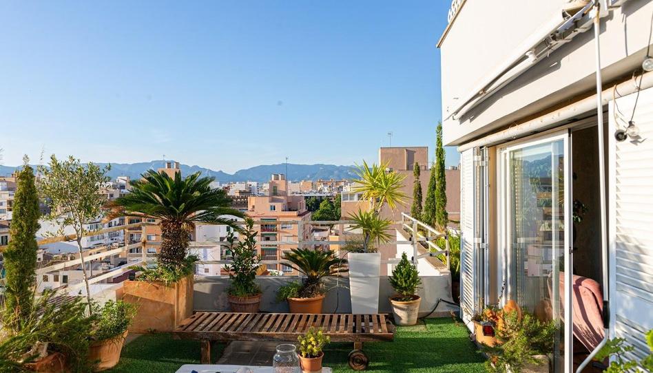 Photo 1 of Attic for sale in Arxiduc, Illes Balears