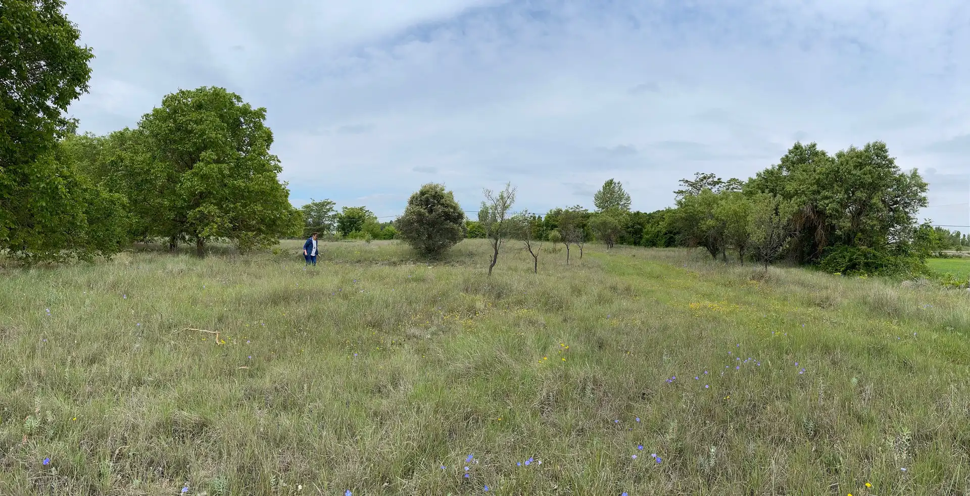 Terreno residencial en venta en Camino del Matadero 1, imagen 3