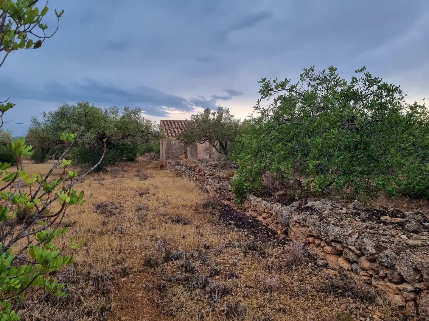 Finca rústica en venta en L'Ametlla de Mar 