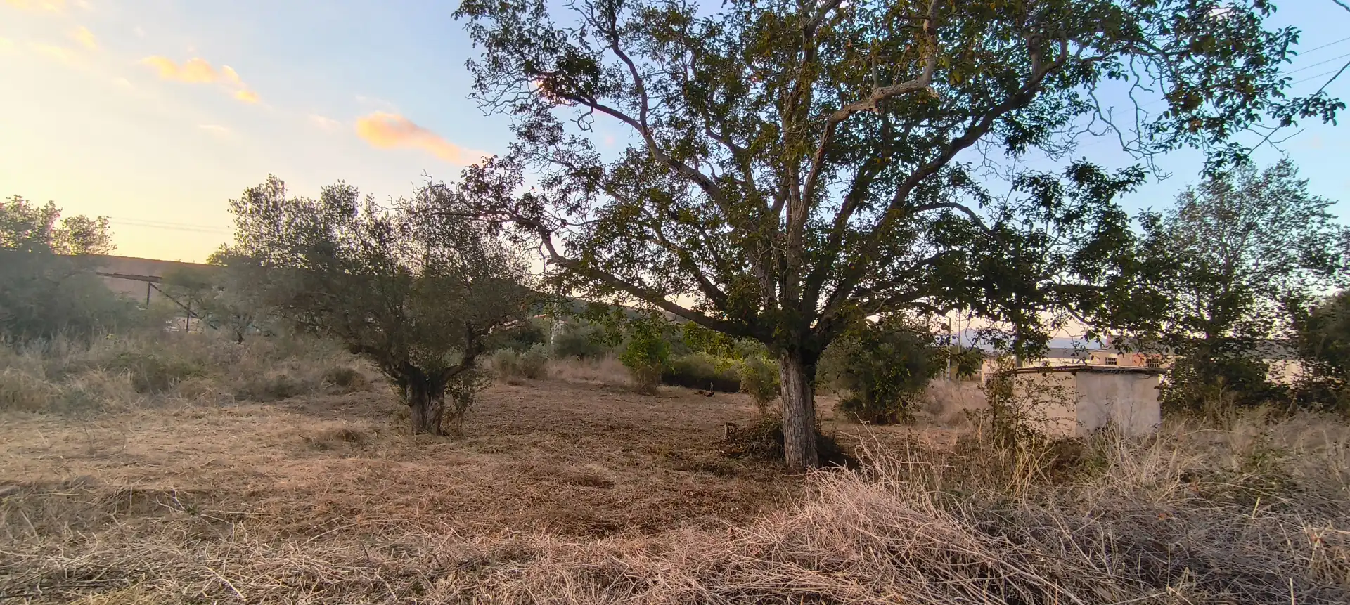Rural land for sale in Murillo de Río Leza