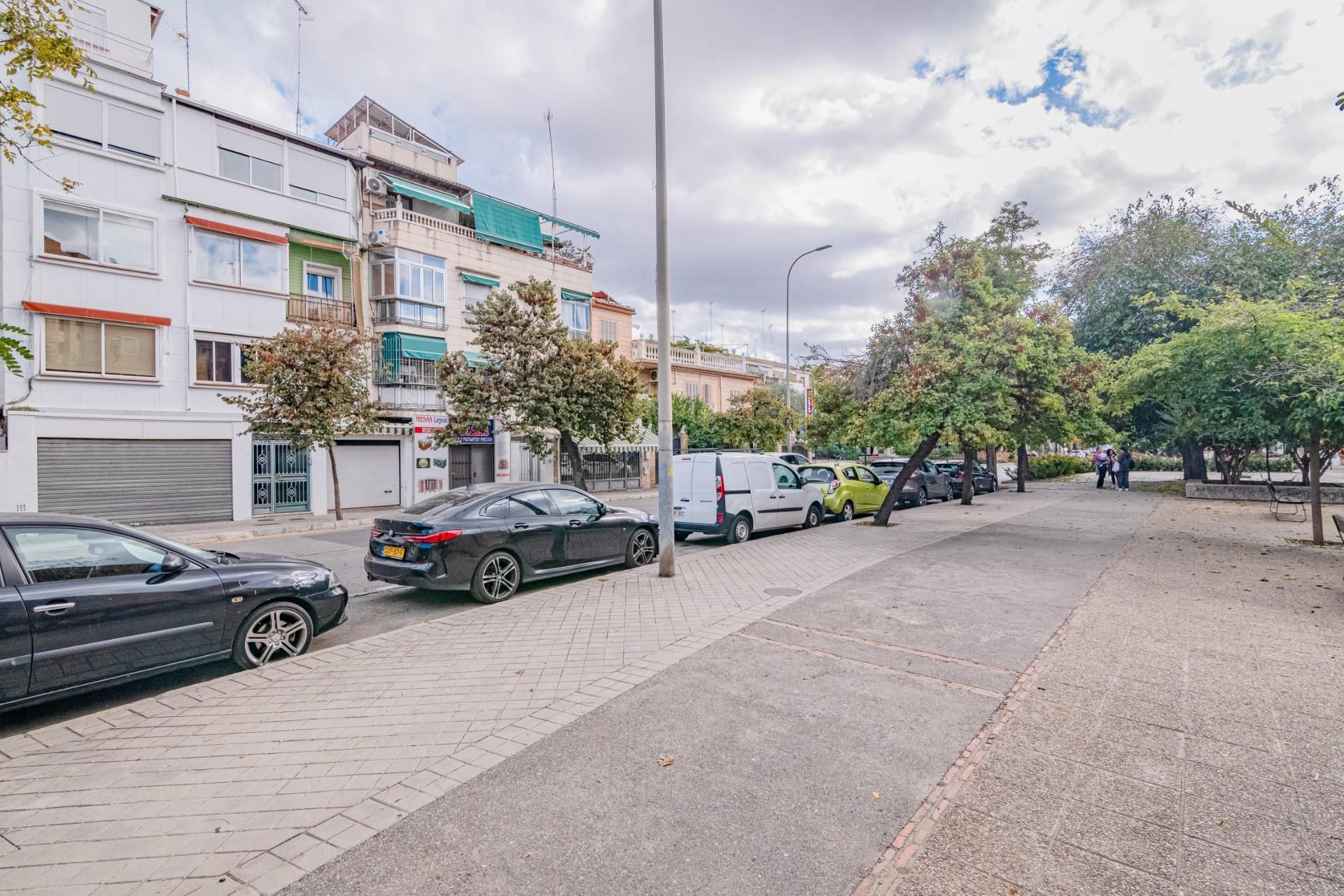 Pis en venda a Calle de la Zubia, Barrio de Zaidín, Zaidín