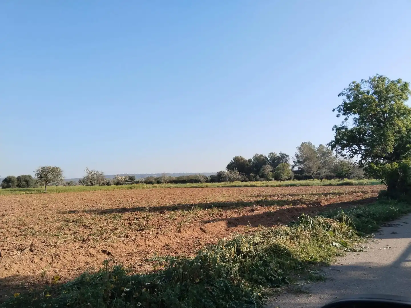 Rustikales Grundstück zum Verkauf in Campos poble, imagen 3