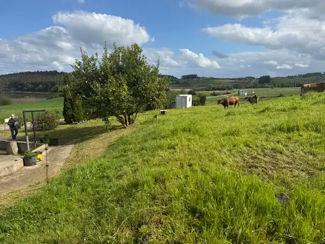 Residential land for sale in Castropol, imagen 8