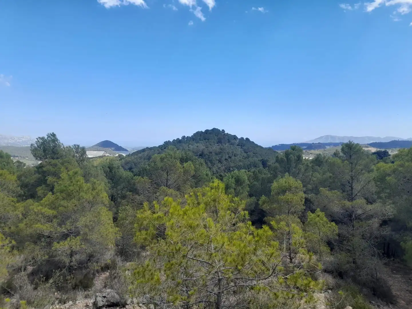 Terreny rústic en venda a Xirles