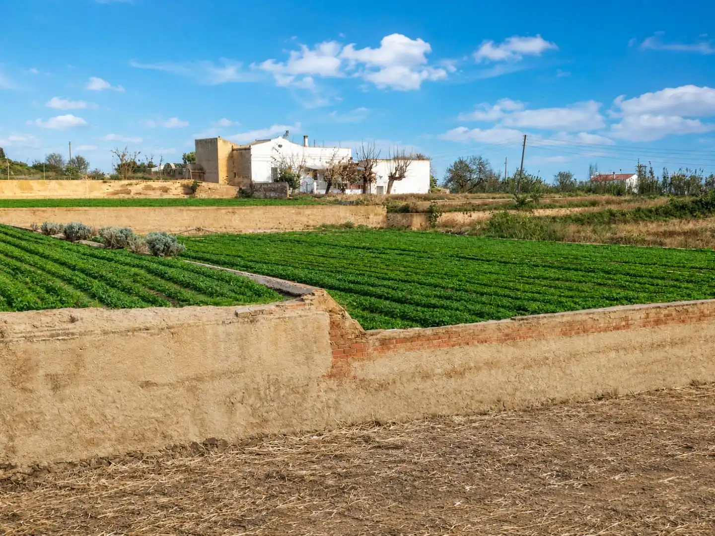 Casa rústica con jardín en venta en Camí cinc sènies 36, imagen 14