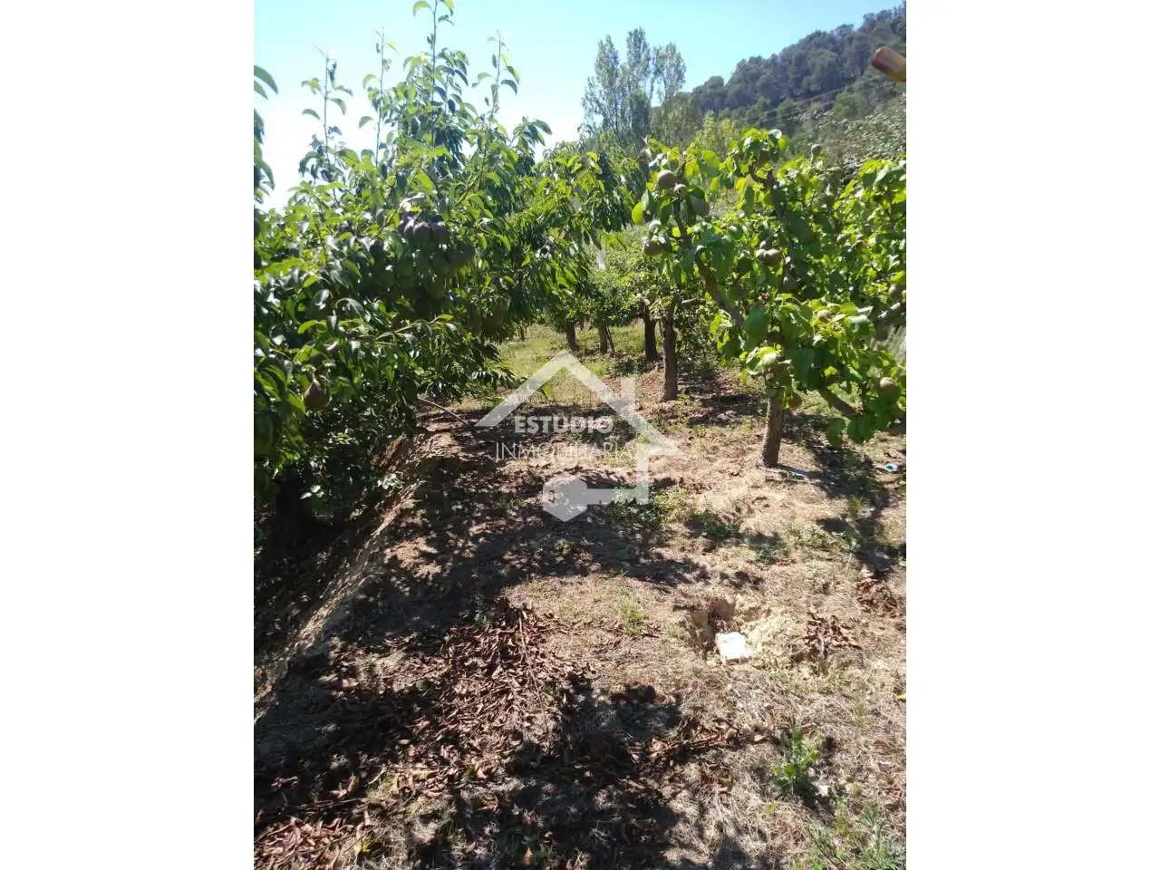 Rural land for sale in Calle Arbanta, imagen 13