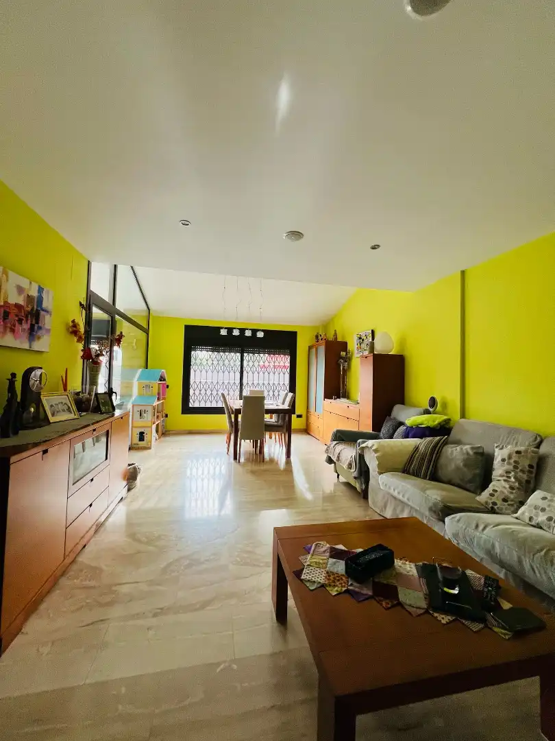 Sala d'estar de Casa o xalet en venda en Pineda de Mar amb Aire condicionat, Calefacció i Jardí privat