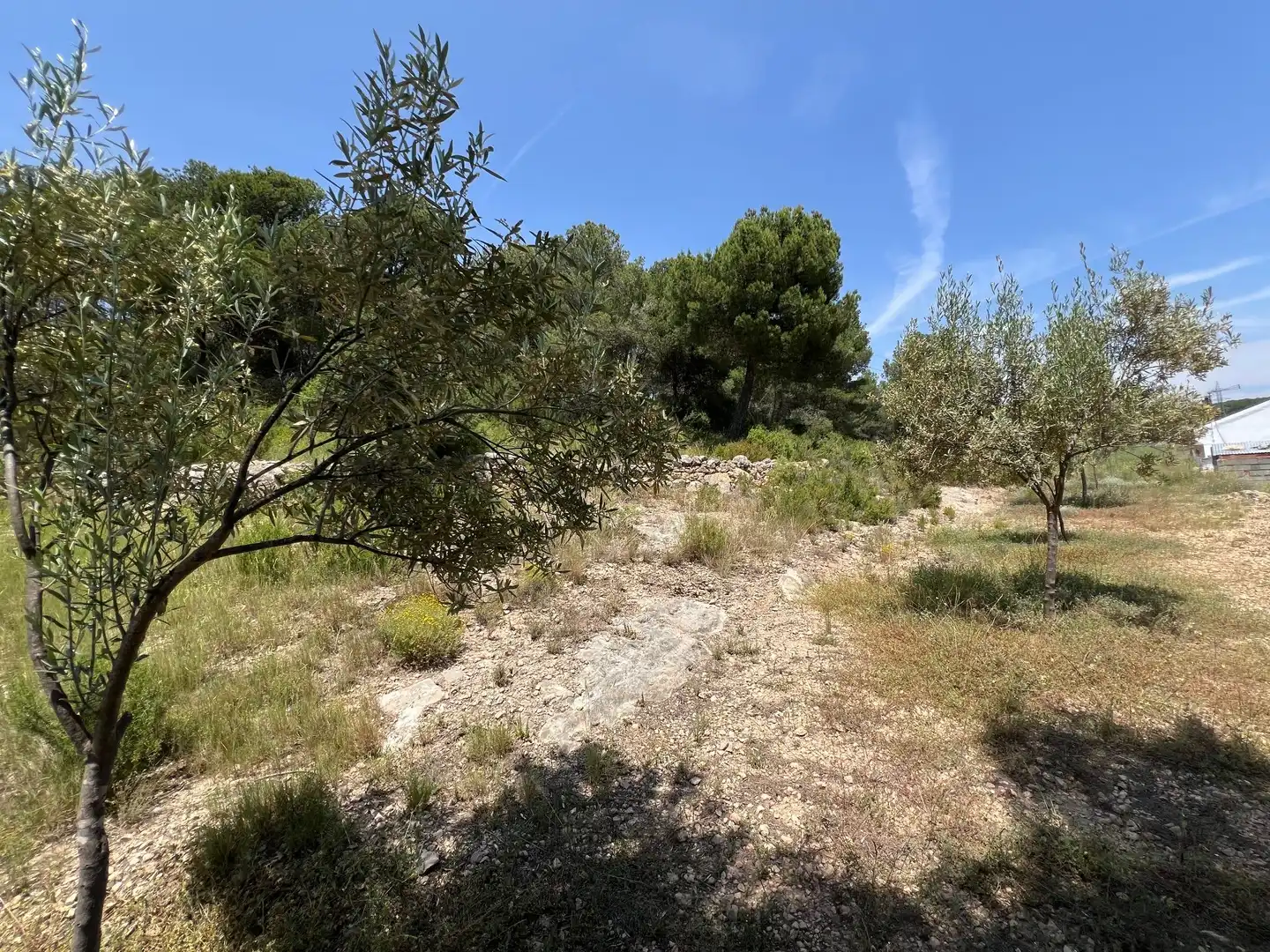 Casa o chalet en venta en Andilla