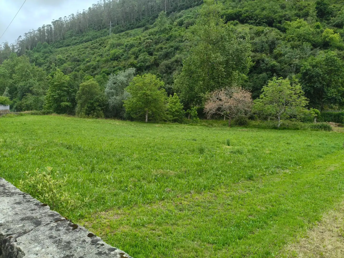 Terreno residencial en venta en Valdáliga, imagen 4