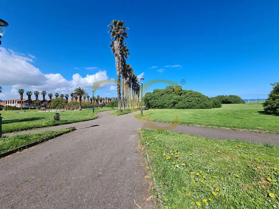 Vista exterior de Casa o chalet en venta en Gijón  con Calefacción, Jardín privado y Terraza