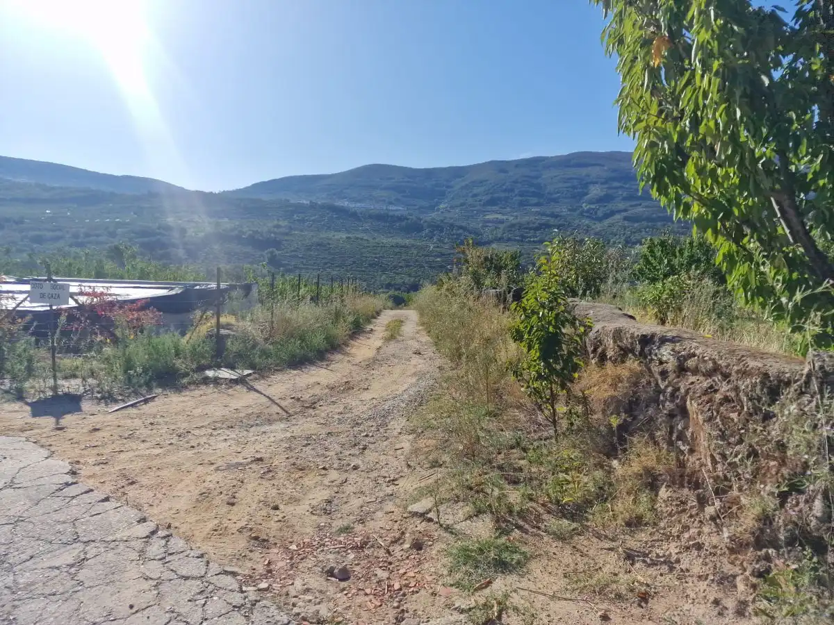 Terreni e lotti in vendita a El Torno, imagen 5