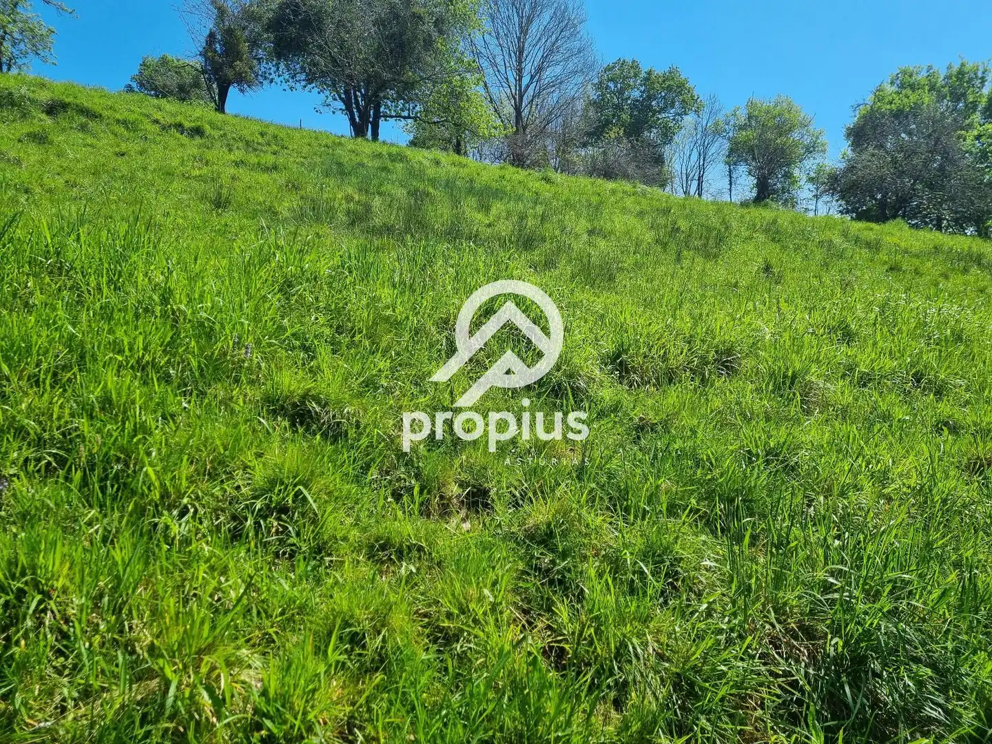 Terreno residencial en venta en EL COLLADO DE SANTO TOMÁS, imagen 7