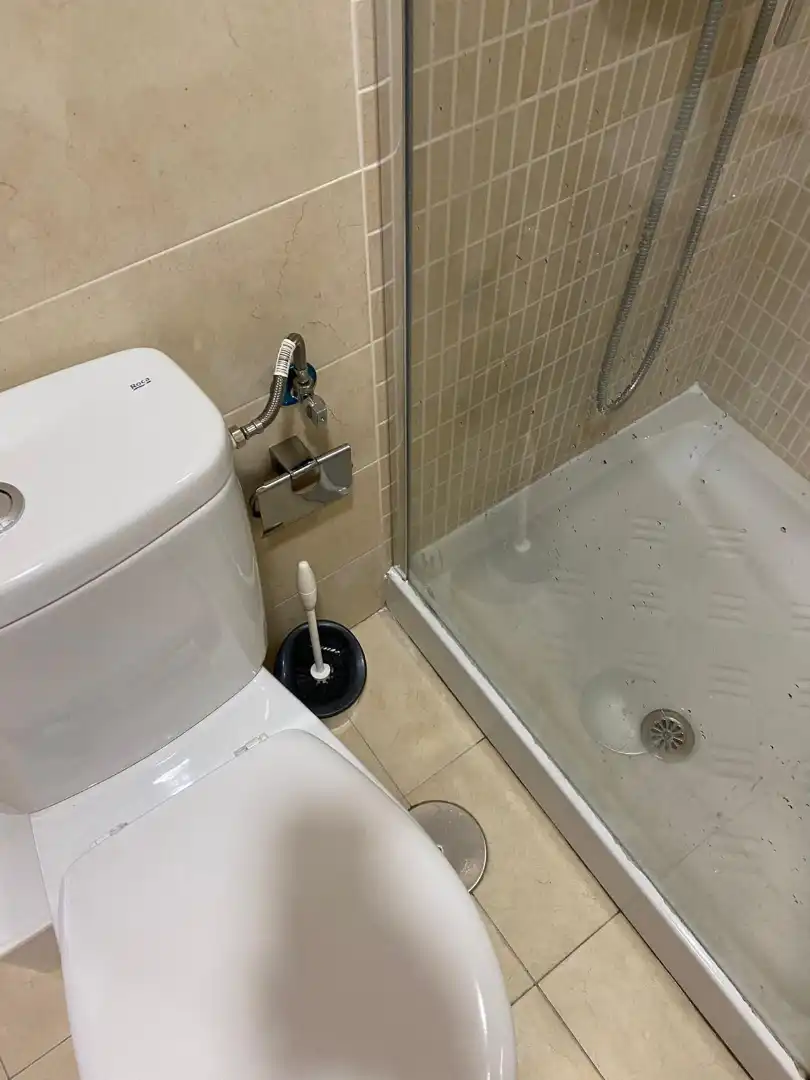 Bathroom of Houses for rent in Prado del Rey  with Furnished