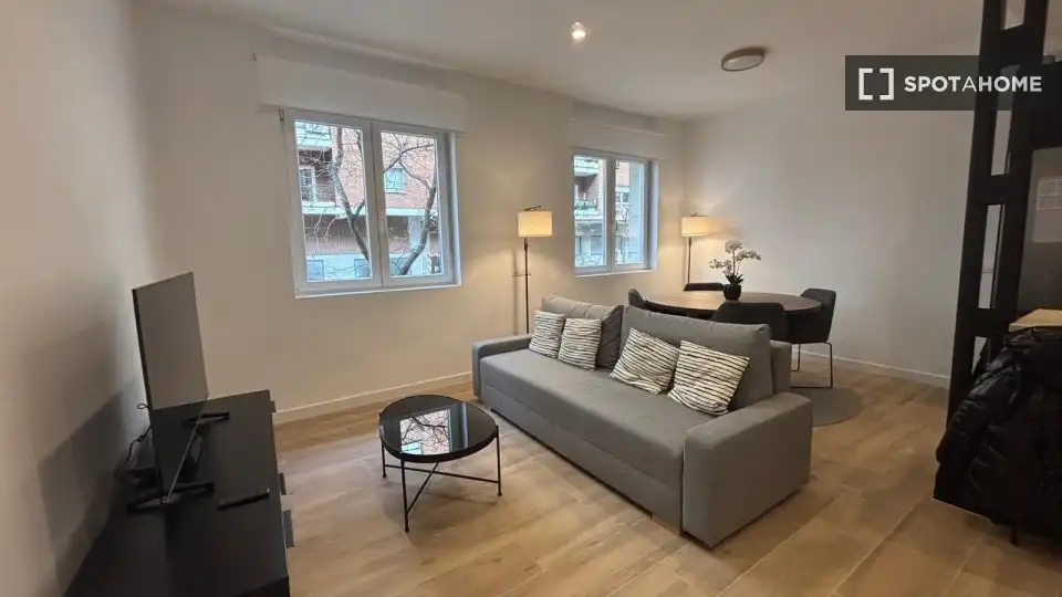 Sala de estar de Piso de alquiler en Madrid con Aire acondicionado, Calefacción y Amueblado