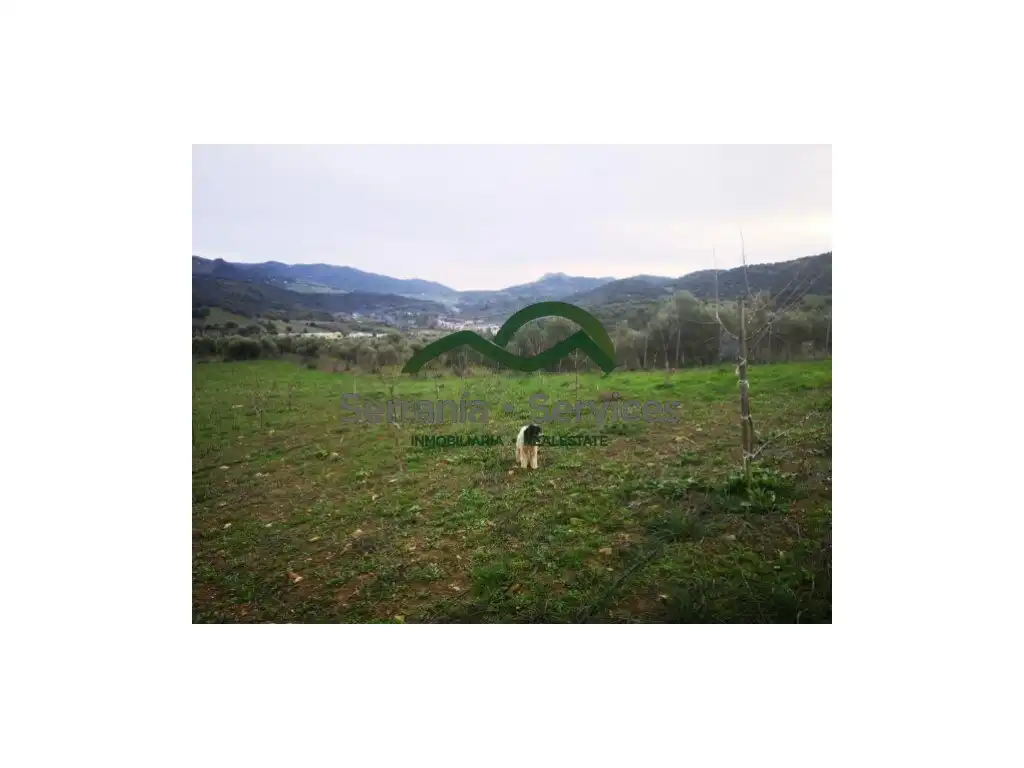 Haus zum Verkauf in Cortes de la Frontera, imagen 2