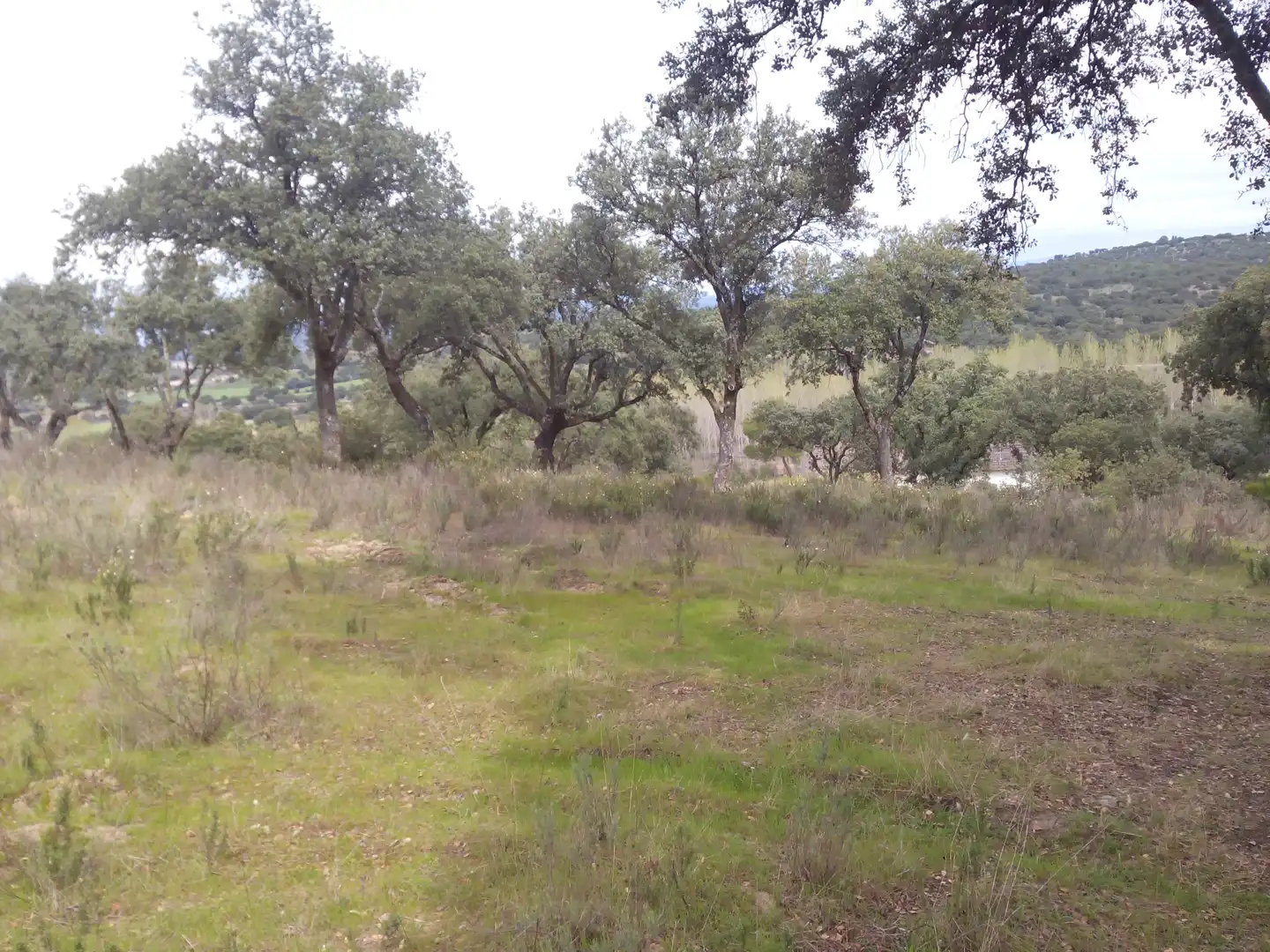 Terreno en venta en Aldea del Fresno