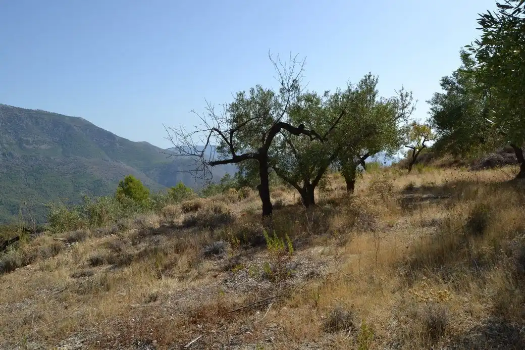 Terrenos y solares en venta en El Castell de Guadalest, imagen 4