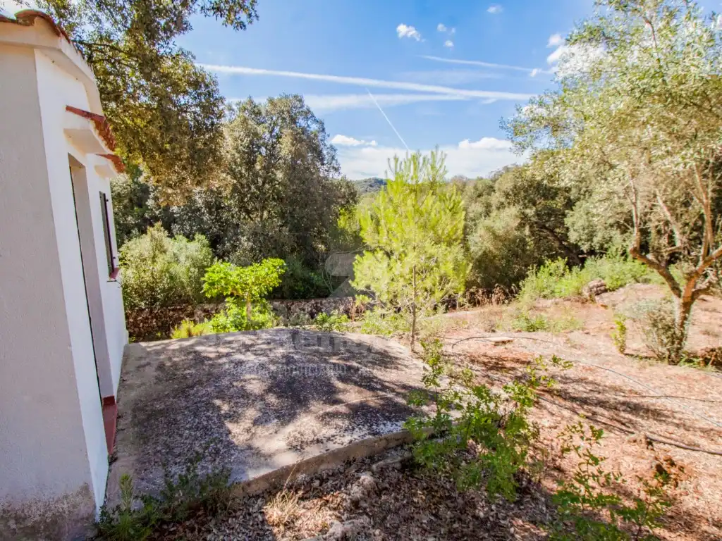 Finca rústica en venda en Es Mercadal amb Jardí privat