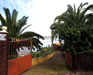 Vista exterior de Finca rústica en venda en La Guancha