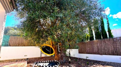 Photo 4 of Houses for rent in Alcúdia - Carrer del Roure, Bacarés - Manresa - Bonaire, Alcúdia