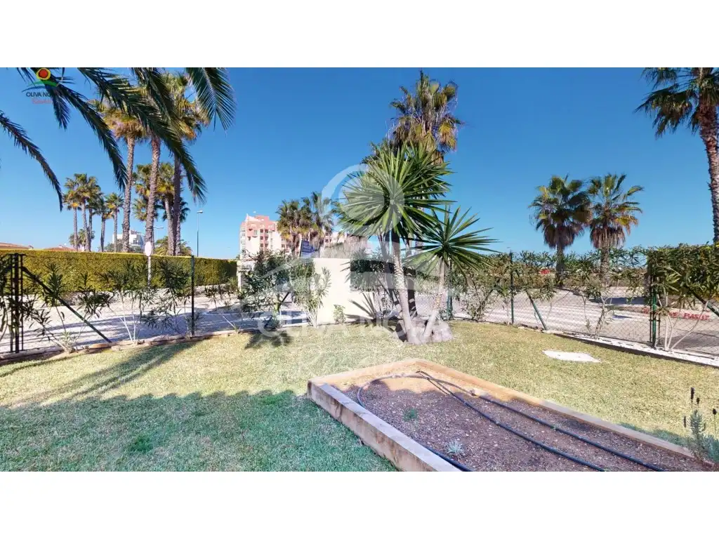 Jardín de Casa o chalet en venta en Oliva con Jardín privado