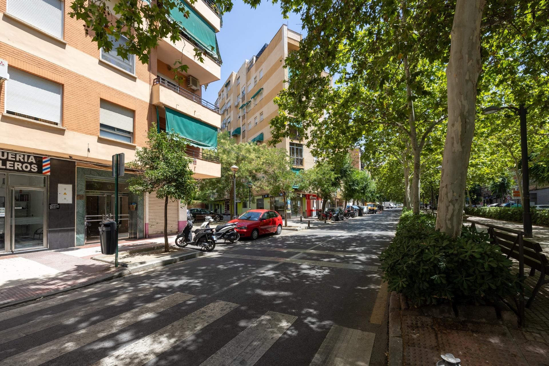 Pis en venda a Avenida DON BOSCO, Barrio de Zaidín, Zaidín,  Granada Capital