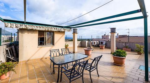 Foto 2 de Àtic en venda a El Secar de la Real, Palma de Mallorca