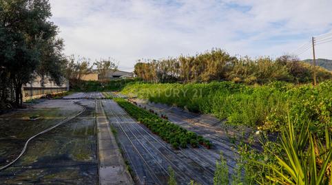 Photo 4 of Land for sale in Carrer del Torrent Dels Bassals, Viiassar de Mar, , -1, Zona Industrial i Agrícola, Vilassar de Mar