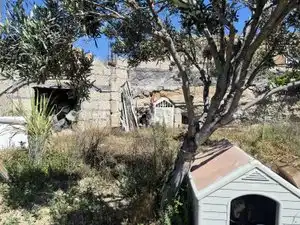 Terreno rustico in vendita a Calle las Cuevas, imagen 12