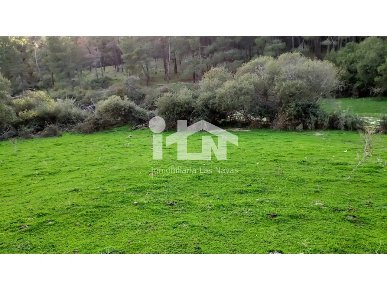 Terrain rustique à vendre à Pasaje Mimbrera 41, imagen 5