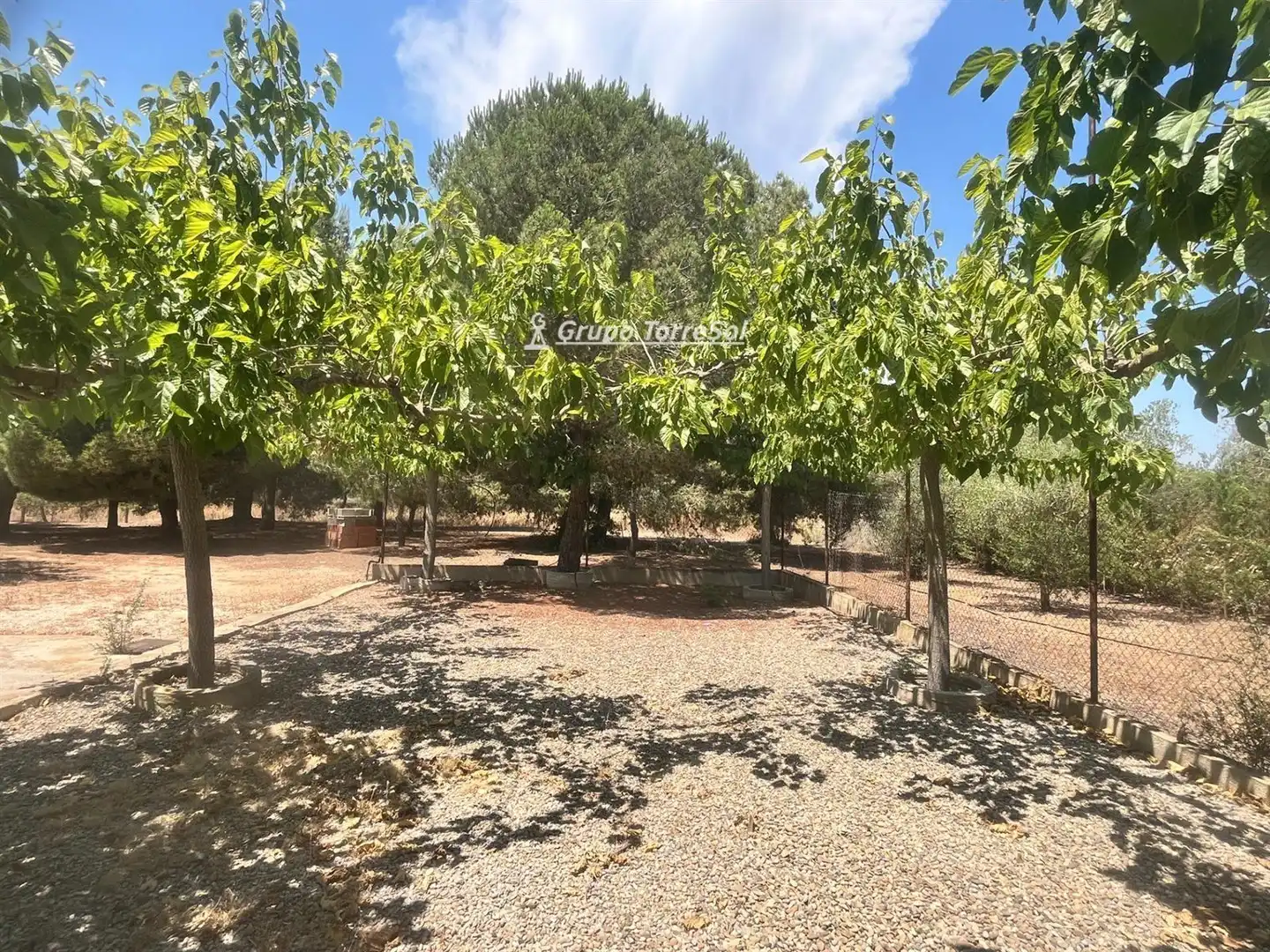 Chalet con piscina en venta en POLíGONO 7 PARAJE 65 JUNTO A CAL DENTISTA, imagen 82