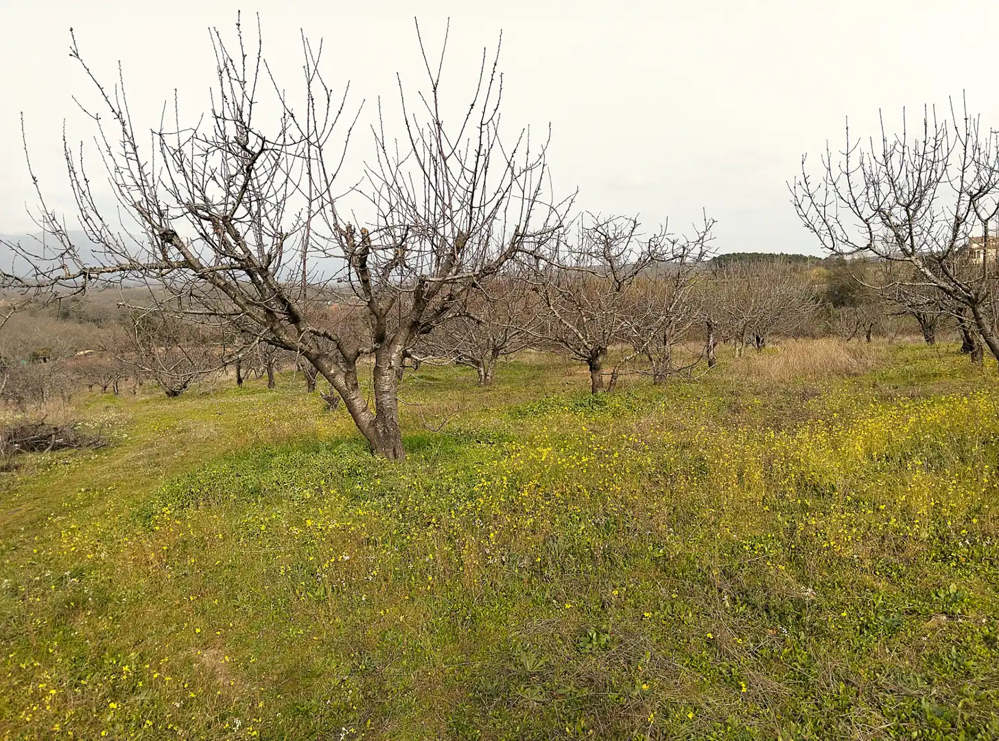 Terreno en venta en Collado de la Vera