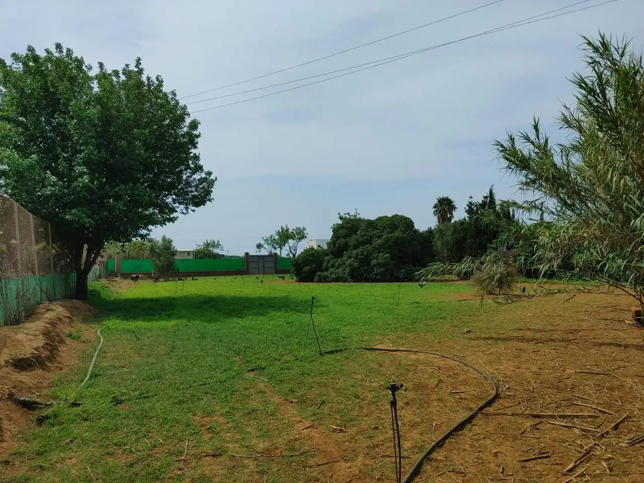 Land for sale in Chipiona