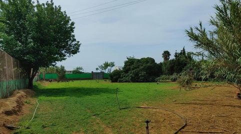 Photo 3 of Land for sale in Granadillos, Ventisqueros, Chipiona Norte, Chipiona
