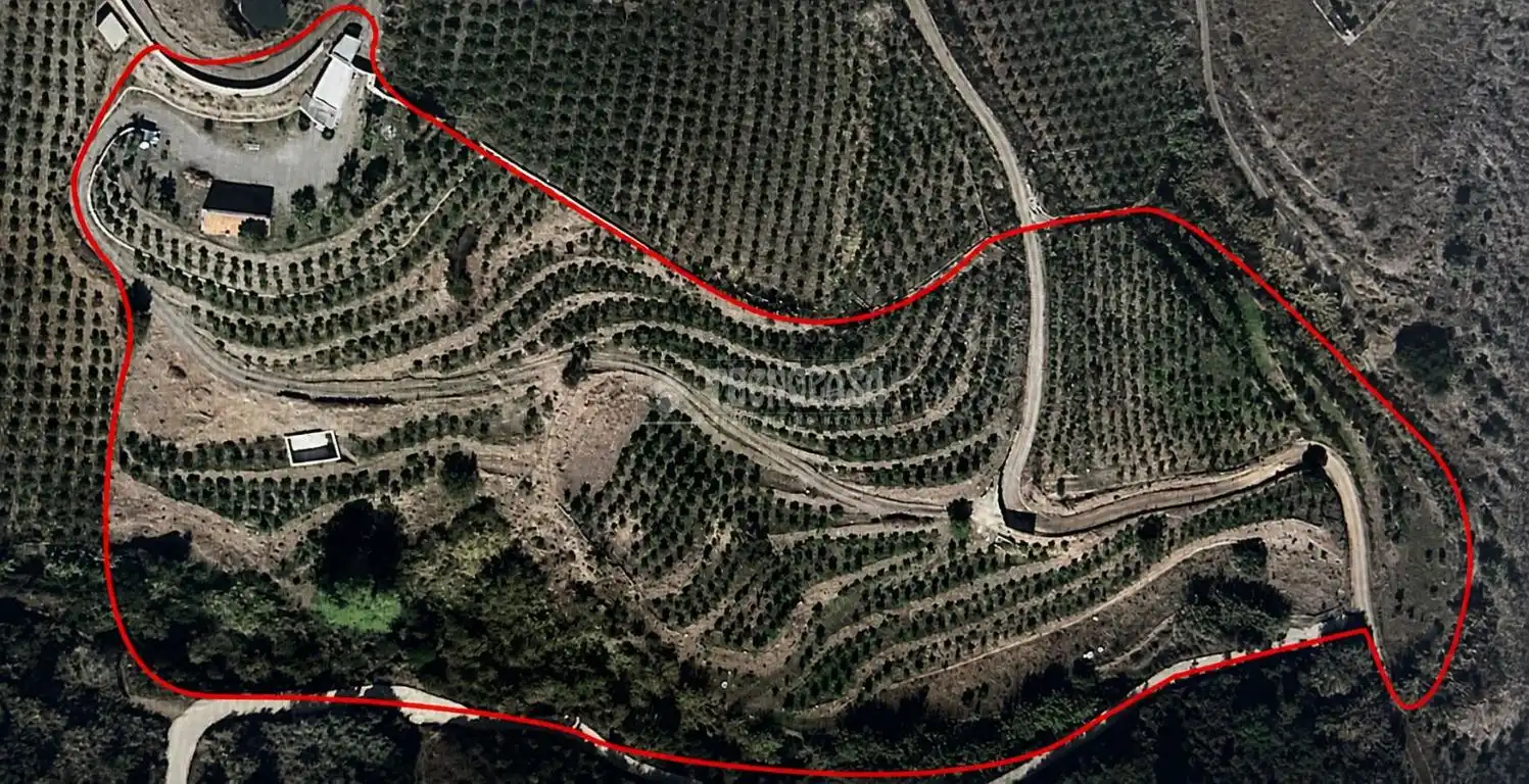 Casa rustica con giardino in vendita a Frigiliana, imagen 31