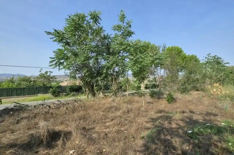 Rural land for sale in Avenida de Andalucía 108D, imagen 11