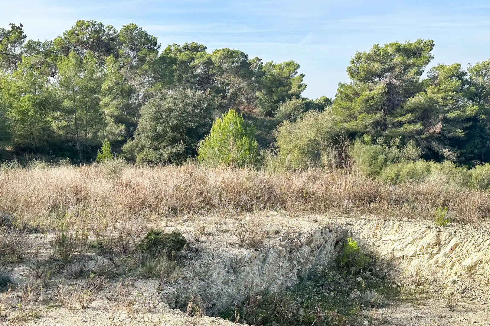 Residential land for sale in Manacor Centre, imagen 7