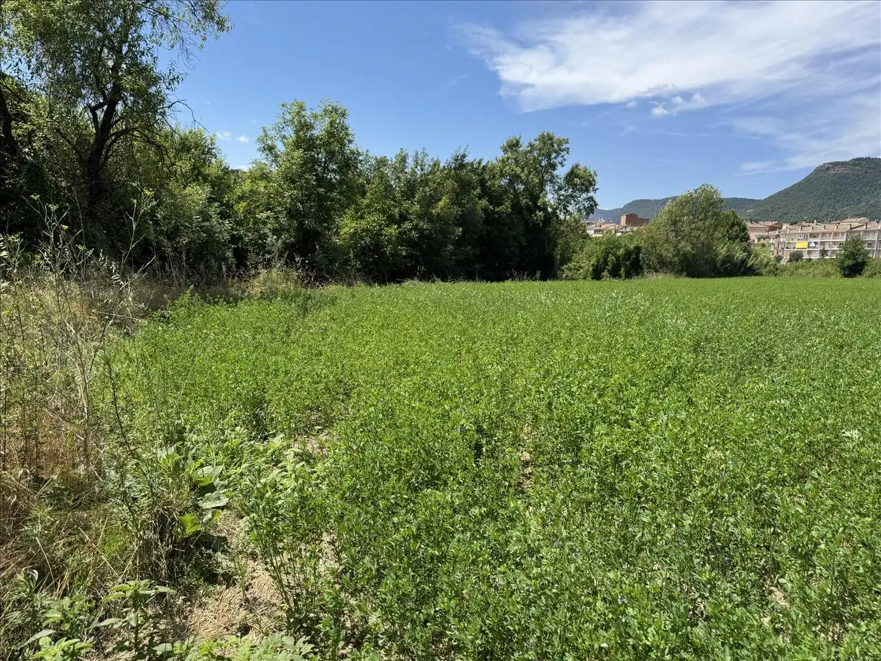 Terreno residenziale in vendita a Torrent De Fornos, imagen 5