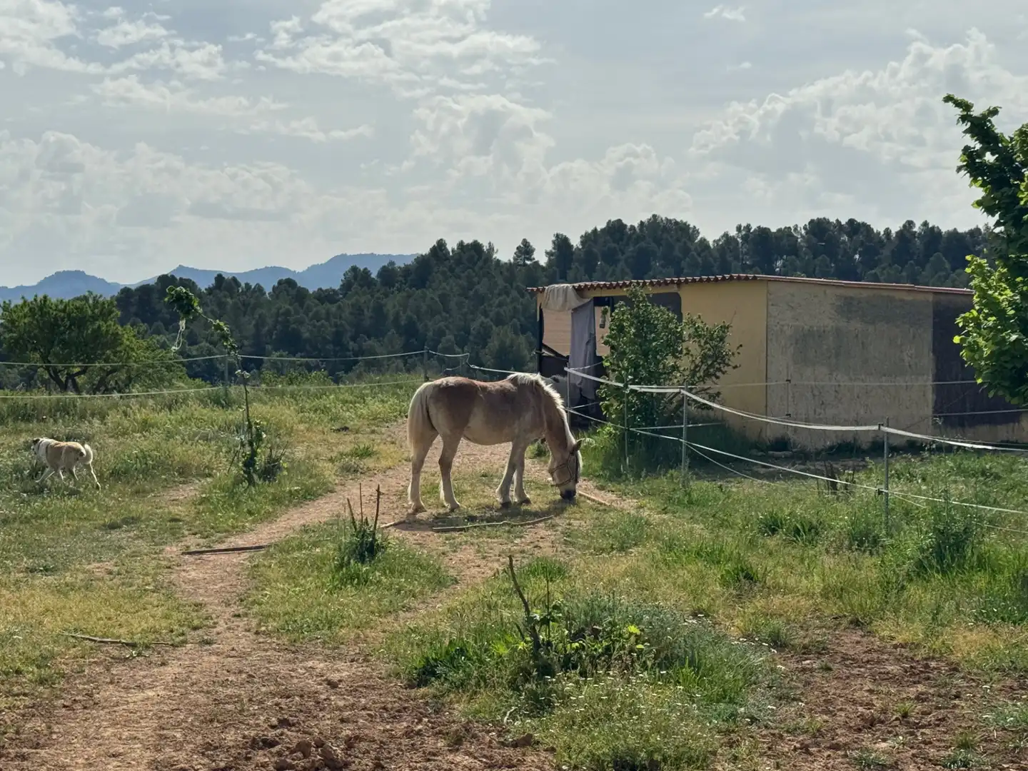 Terreni e lotti in vendita a N/A, imagen 17