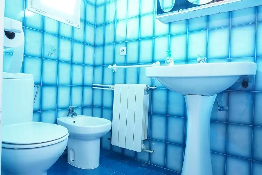Bathroom of Flat for sale in Ripoll  with Heating