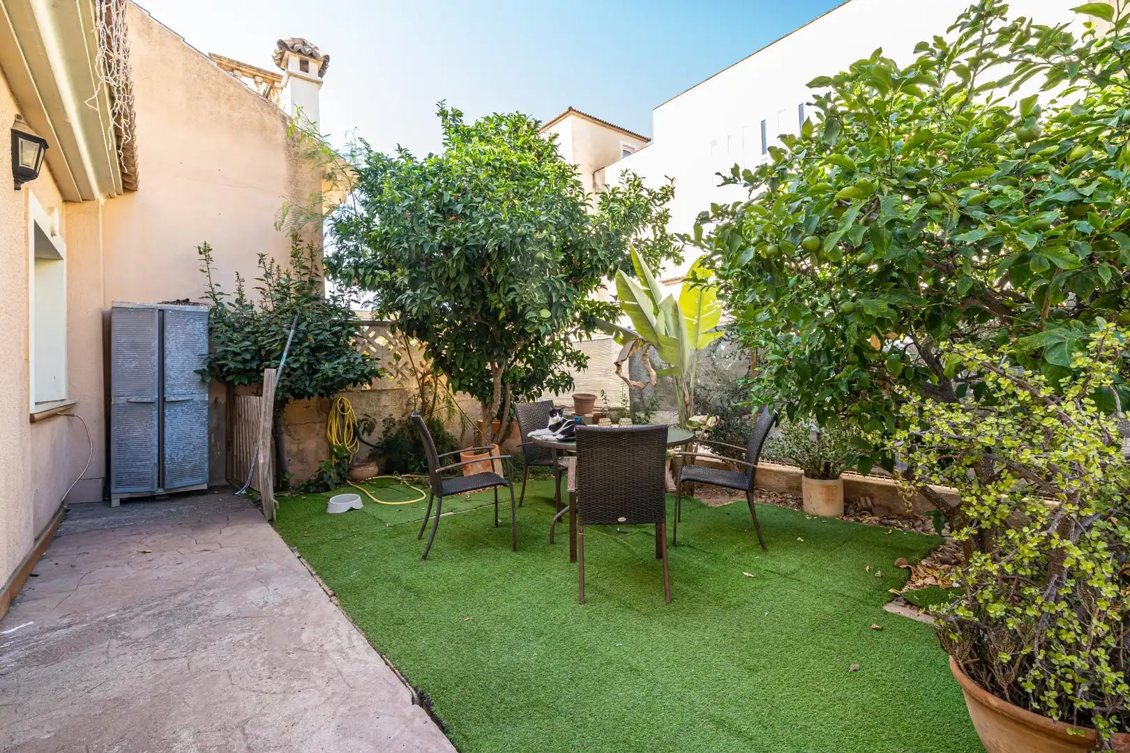 Casa con terrazza in vendita a Sa Torre, imagen 4