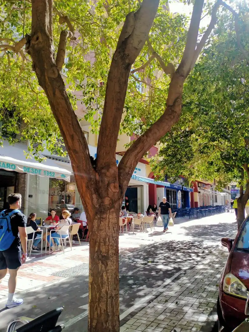 Vista exterior de Edificio en venta en Málaga