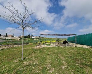 Land for sale in Sanlúcar de Barrameda