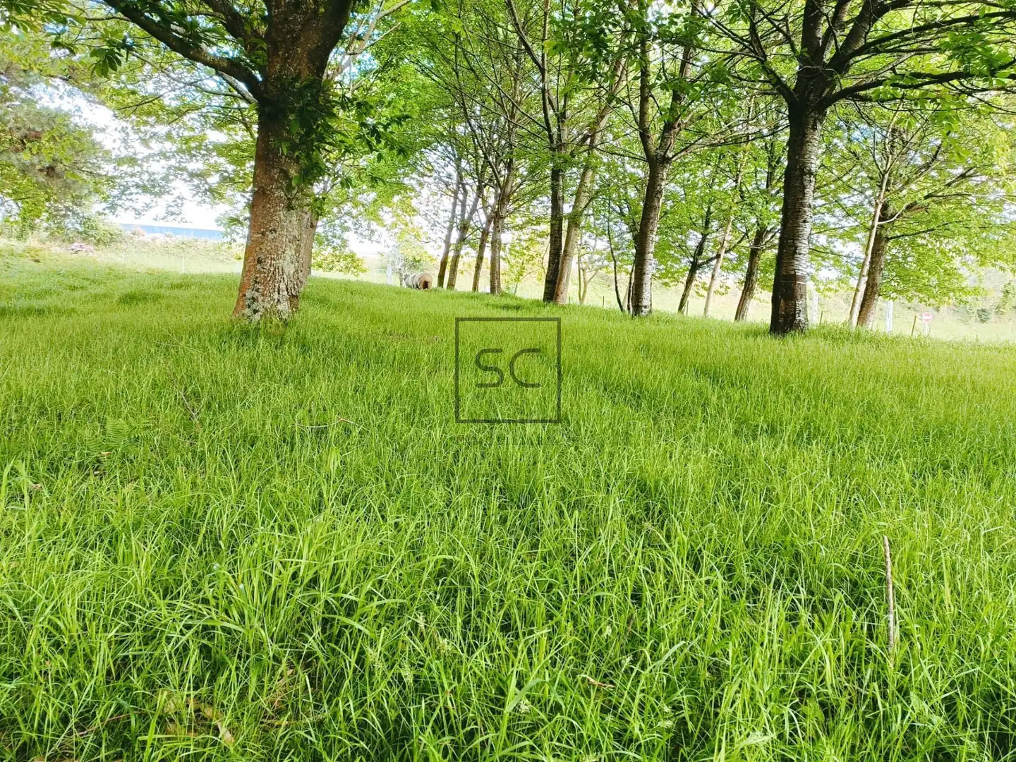 Houses for sale in Narón  with Private garden