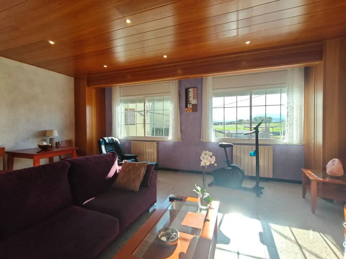 Living room of Detached homes for sale in Vilobí d'Onyar  with Air Conditioner, Heating and Terrace