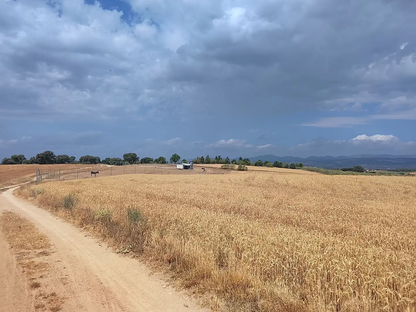 Terreno rustico in vendita a Quijorna, imagen 6