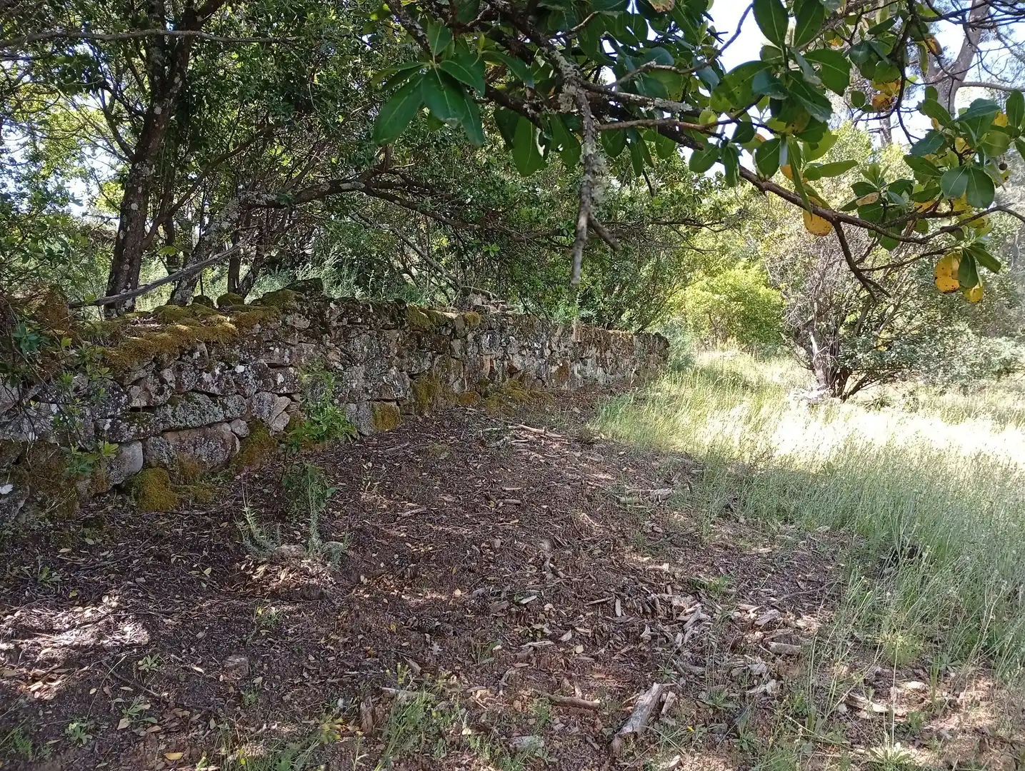 Terreni e lotti in vendita a Villanueva de la Vera, imagen 87