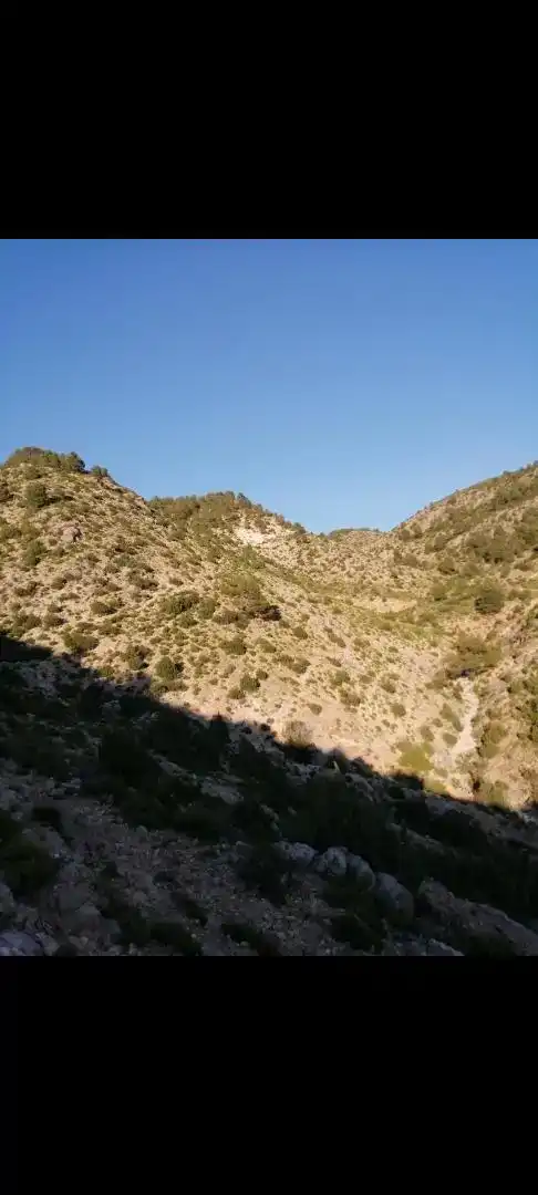 Terreno en venta en Yeste