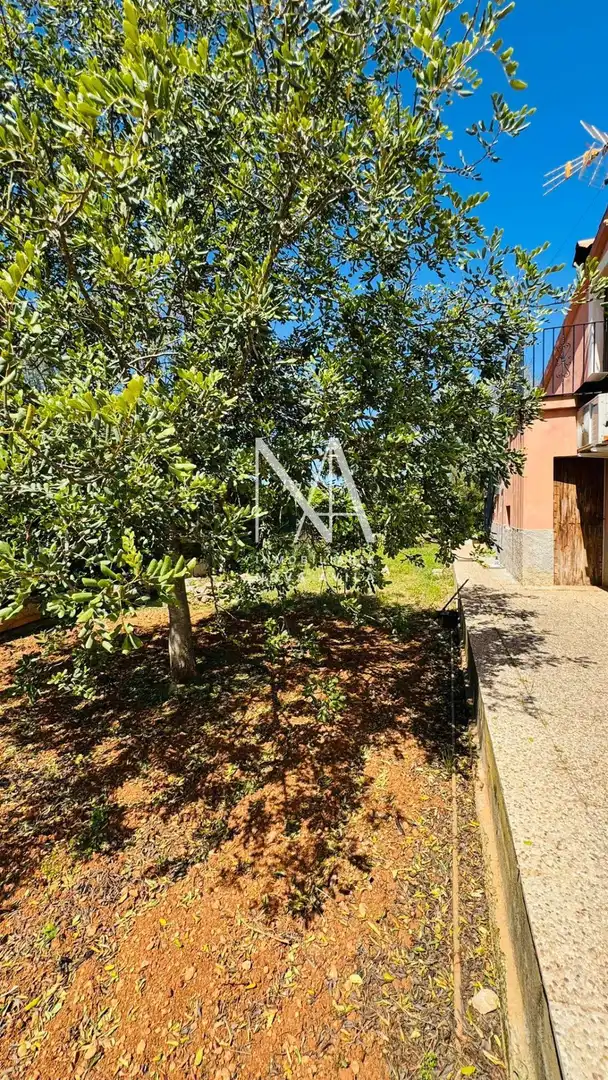 Finca rústica en venda a Cristo Rey - Parque Europa