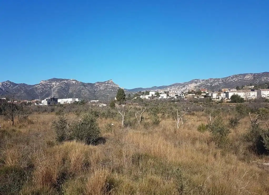Rural land for sale in DOMENGES, imagen 8